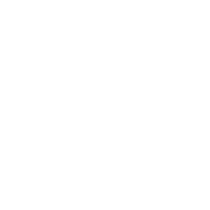 Pinion Game Studio Logo White